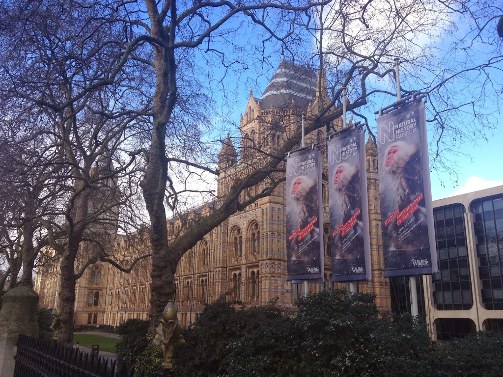 Culture Vulture – The Natural History Museum