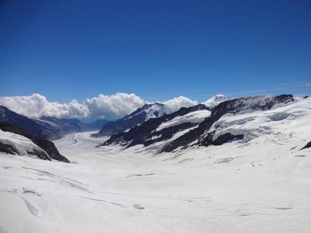 Travel-Bug Bites - Jungfraujoch - Tassie Devil Abroad