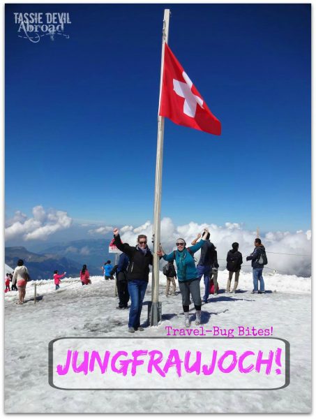 Jungfraujoch! bug-bites