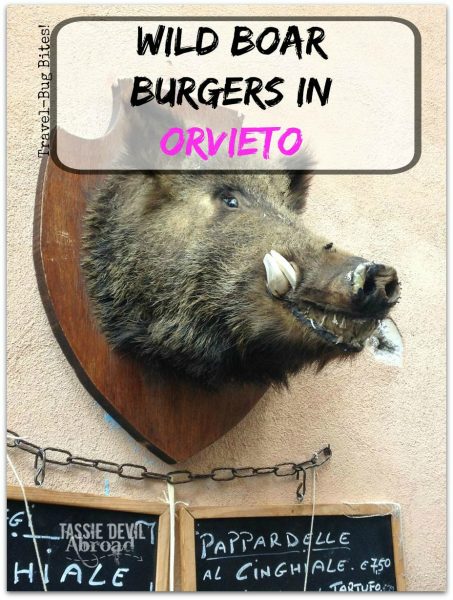 Wild Boar Burgers in Orvieto bug bites