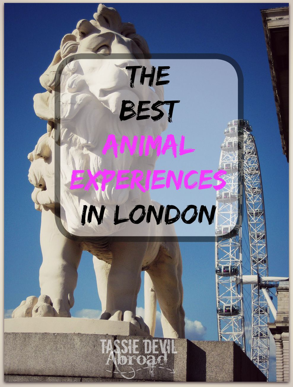 The Best Animal Experiences in London!
