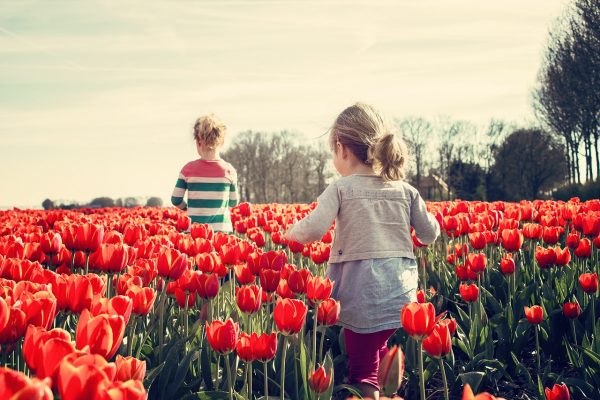 dutch children