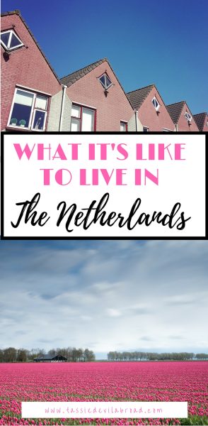 Find out what it's actually like to live in the Netherlands as an expat