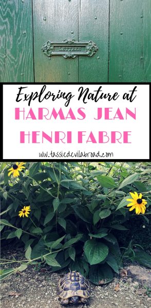 Exploring Harmas Jean Henri Fabre: a stunning garden in Provence, France