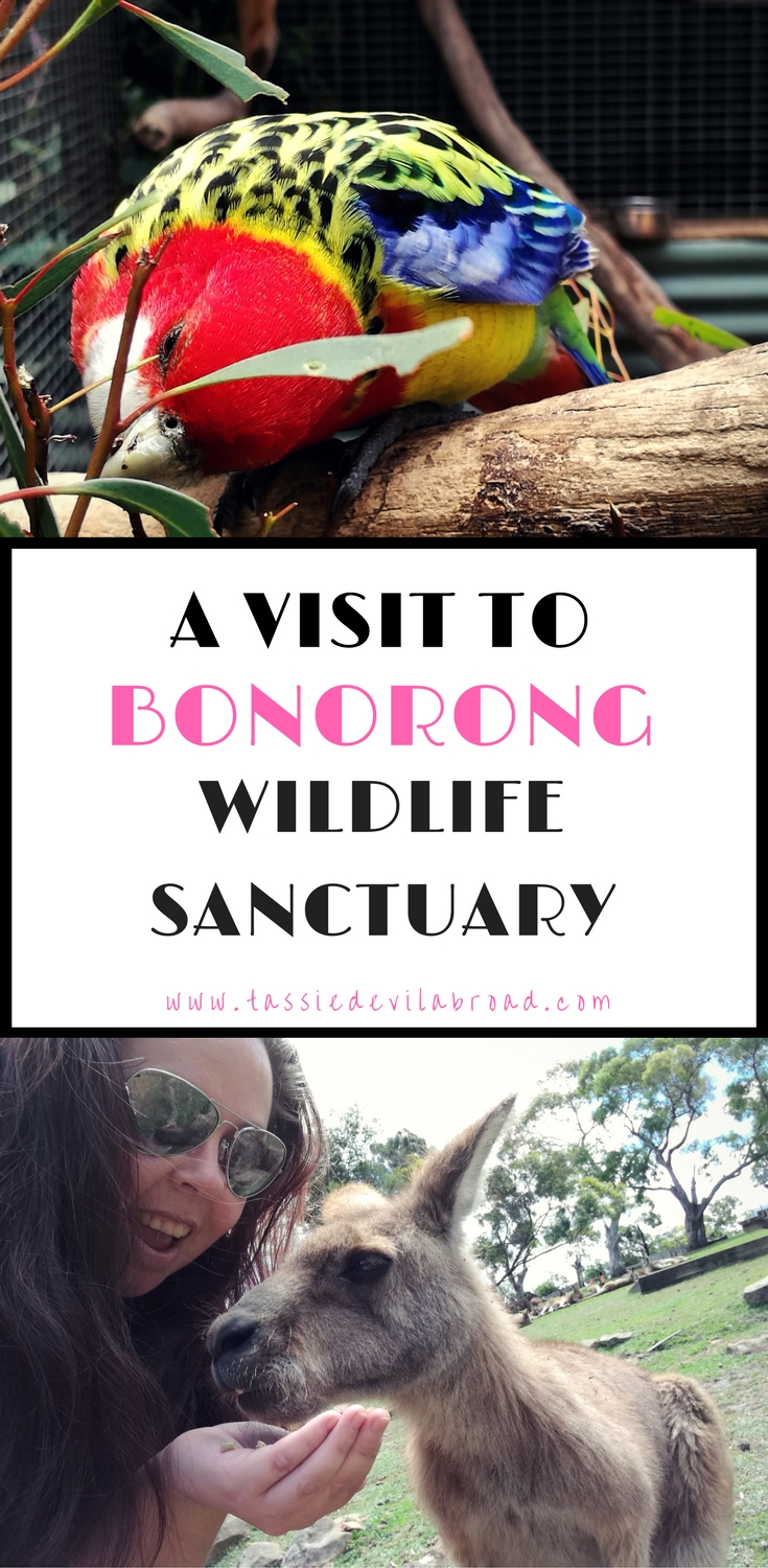 Bonorong Wildlife Sanctuary