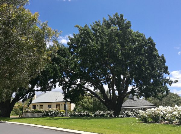 Georgian cottages in Richmond, Tasmania