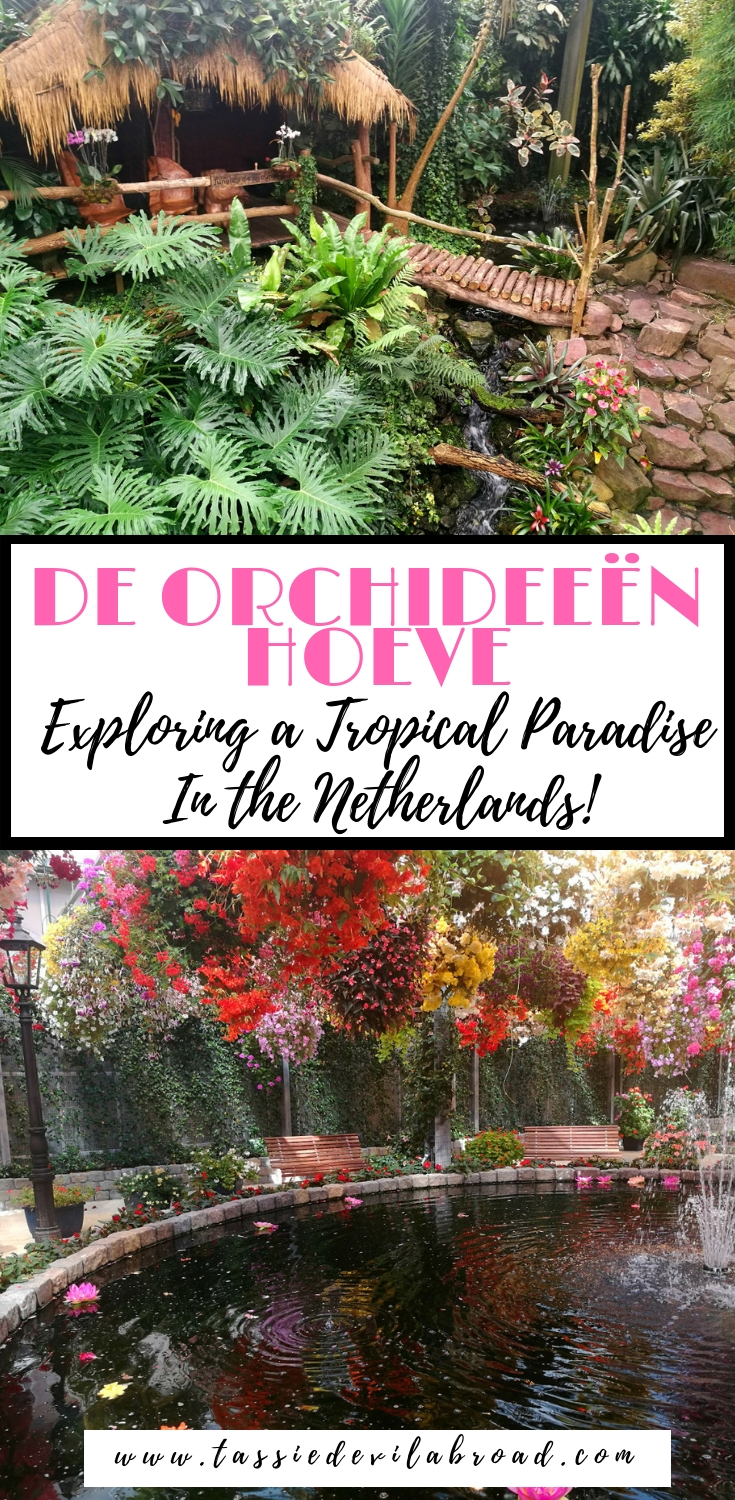 Tips for visiting and beautiful photos from De Orchideeën Hoeve, a tropical paradise in the Netherlands! #dutch #garden #travel