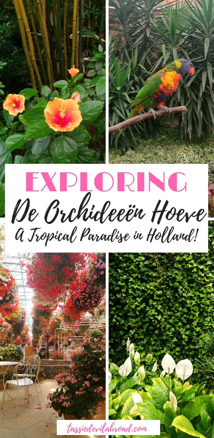 Tips for visiting and beautiful photos from De Orchideeën Hoeve, a tropical paradise in the Netherlands! #dutch #travel #gardens
