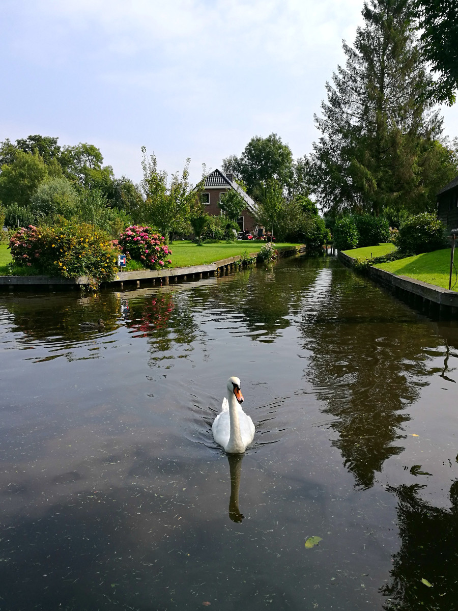 Rebentando os mitos e dando-lhe os fatos sobre a visita de Giethoorn, a cidade holandesa com 'estradas''no roads'