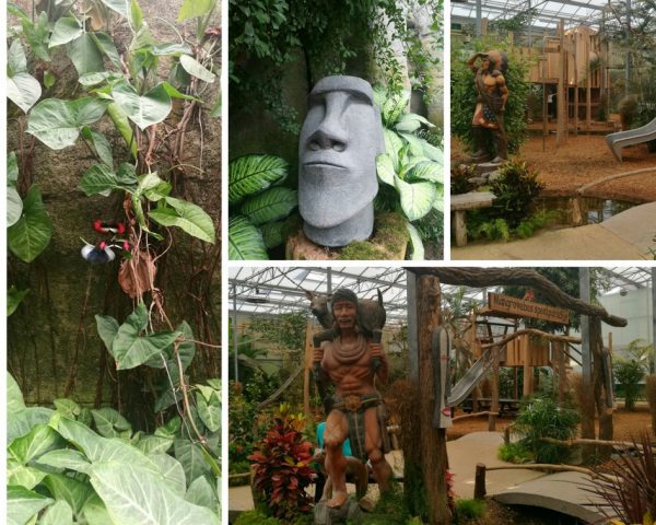 Tips for visiting and beautiful photos from De Orchideeën Hoeve, a tropical paradise in the Netherlands!