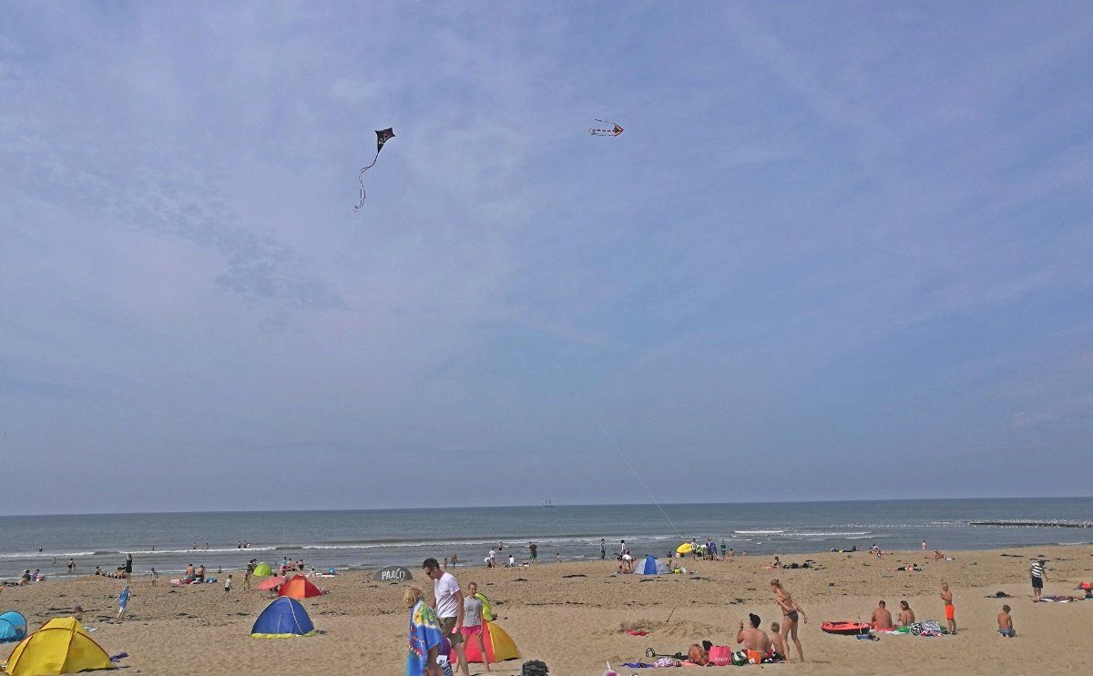What to do on the Dutch Island of Texel