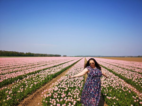 How to see tulips in the Netherlands away from all the tourist crowds!