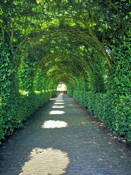 Find out everything you need to know about visiting the beautiful Dutch castle Muiderslot in the town of Muiden!