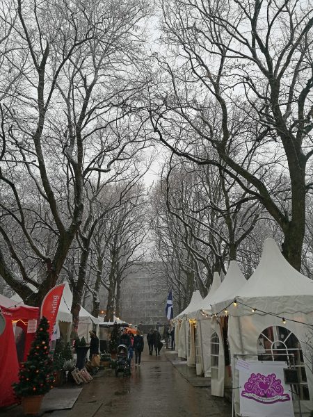 Want to visit a Christmas market in a castle?! You can at Castle Assumburg in the Netherlands! Find out how here.