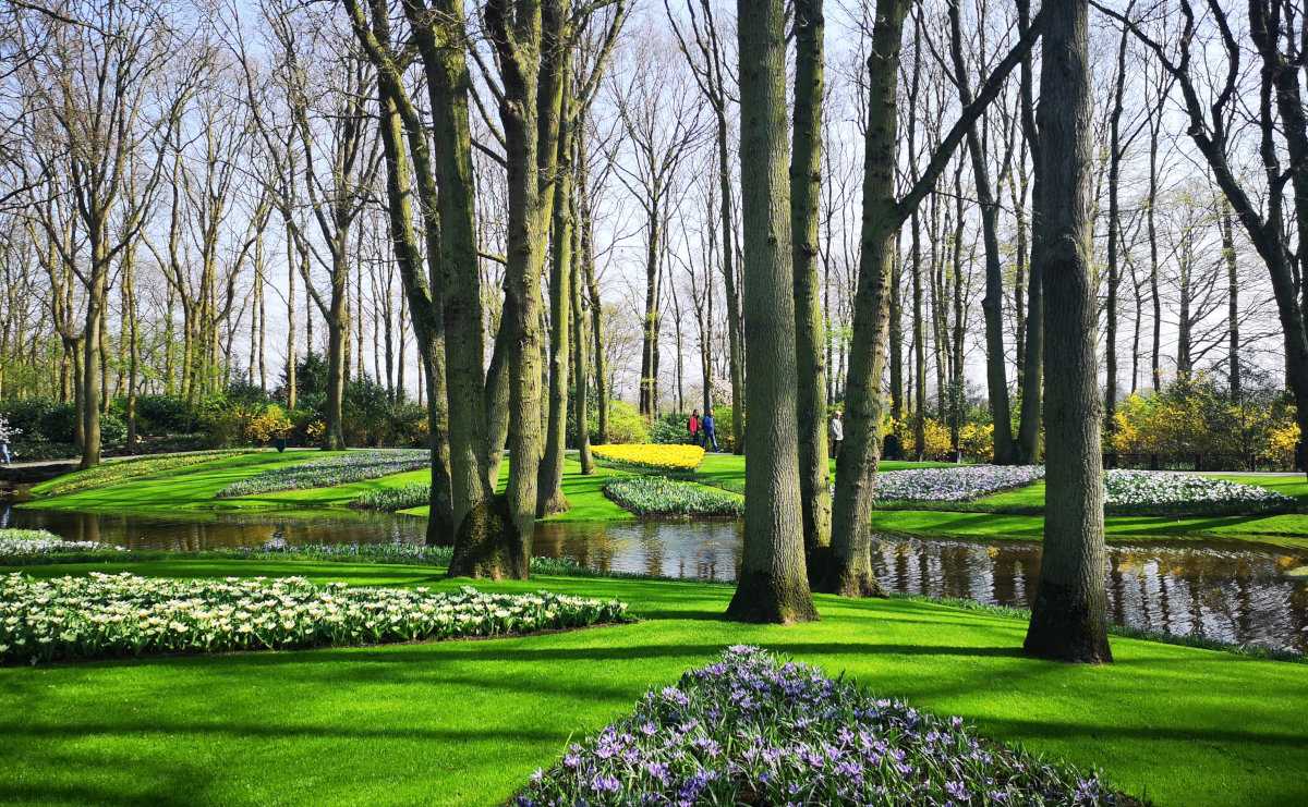 Everything you need to know to explore Europe's most amazing garden in the Netherlands: Keukenhof!