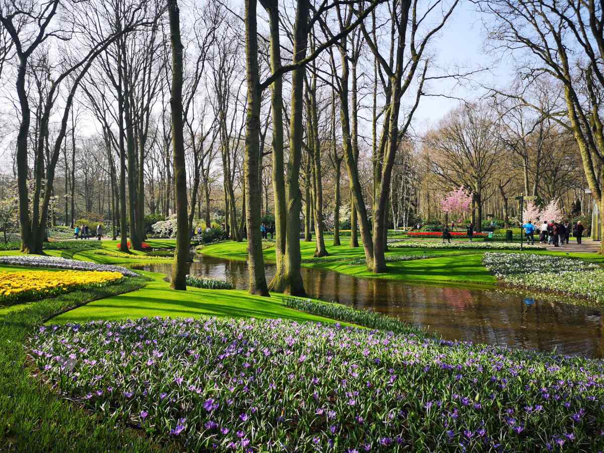 Everything you need to know to explore Europe's most amazing garden in the Netherlands: Keukenhof!