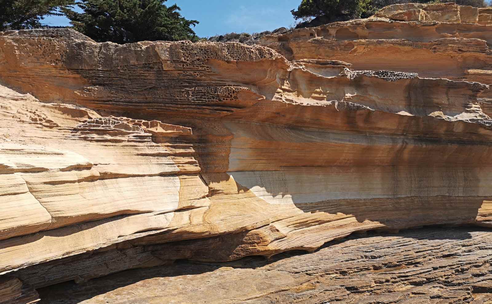 Visiting Maria Island National Park in Tasmania