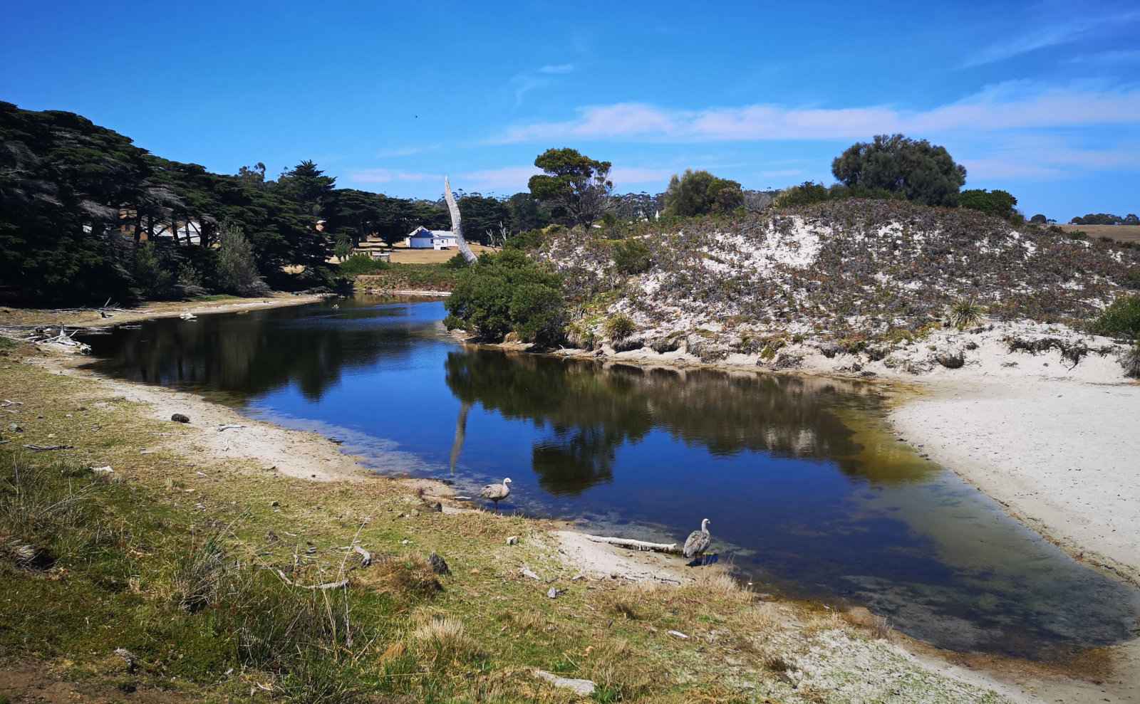 Visiting Maria Island National Park in Tasmania