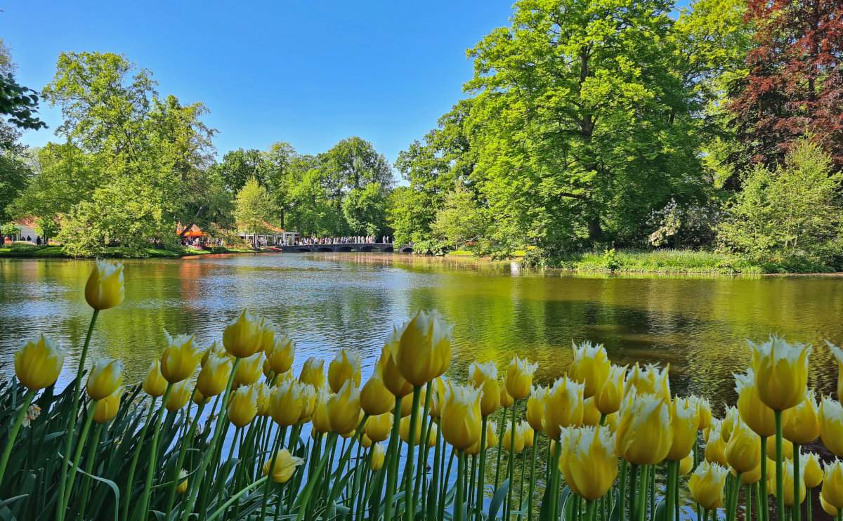 How to Experience Keukenhof: The Garden of Europe