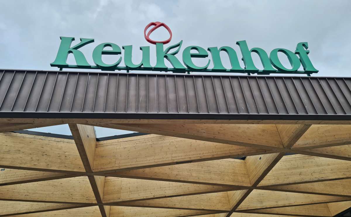 The Short and Sweet Essential Guide to Visiting Keukenhof in the Netherlands