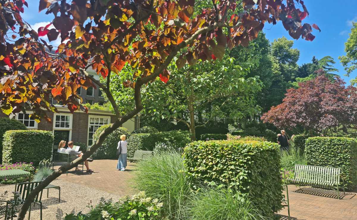 Experiencing the Amsterdam Open Garden Days